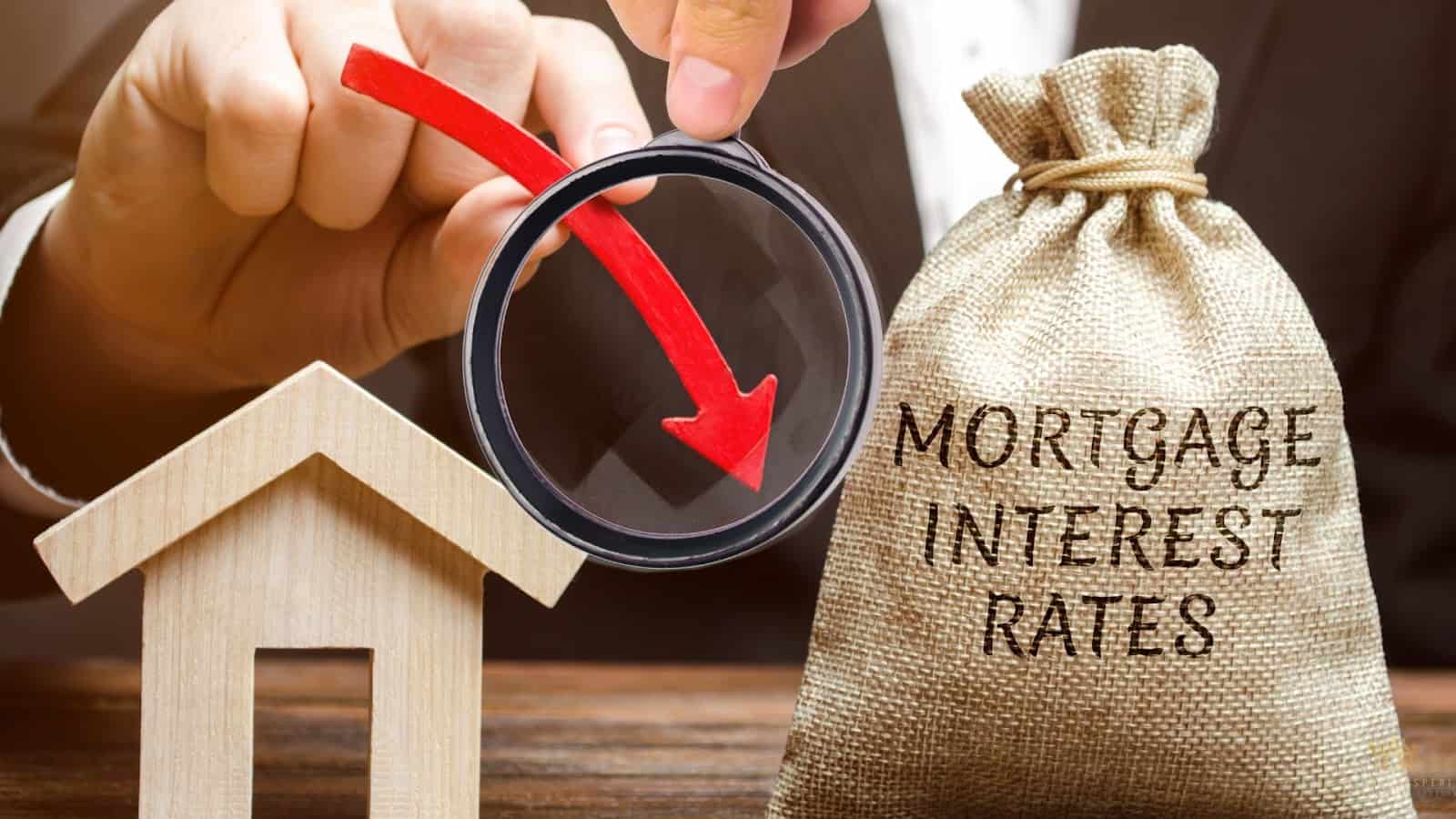 Small Business Administration (SBA) Loans With Government-Backed Lower Interest Rates