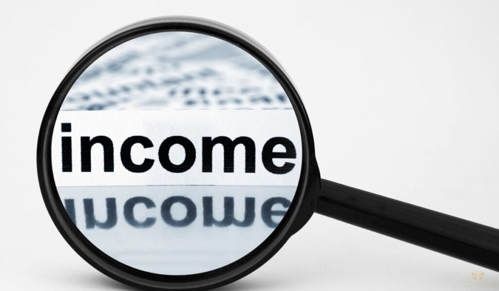 Inputting Accurate Income and Expense Data